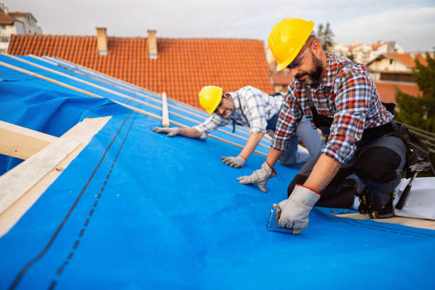 Best Storm Damage Roof Repair  in Savannah, MO